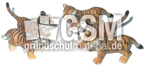 Tiger-2+3.jpg